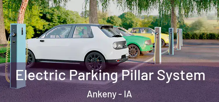 Electric Parking Pillar System Ankeny - IA