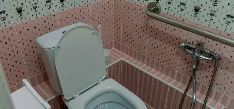 Meeting Diverse Needs With Accessible Restroom Solutions in Ankeny, IA