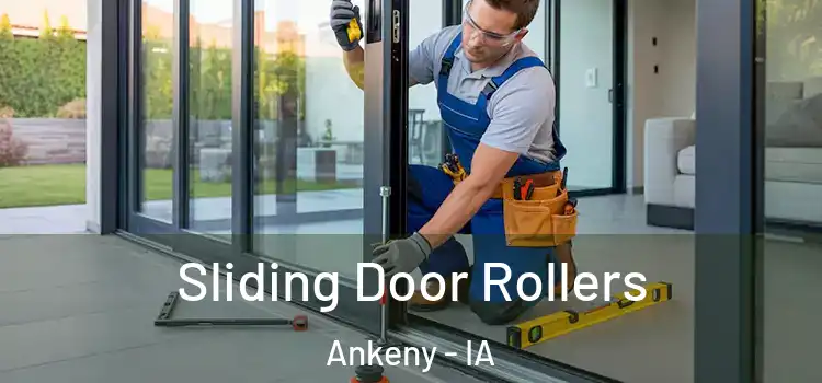 Sliding Door Rollers Ankeny - IA